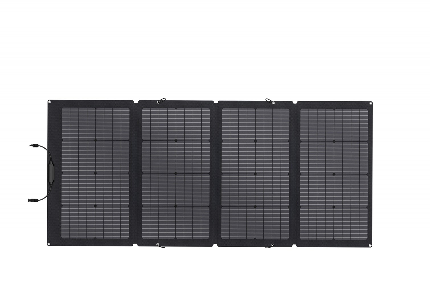 EcoFlow Solar220W solar panel 220 W Monocrystalline silicon EcoFlow Solar220W solar panel 220 W Monocrystalline silicon
