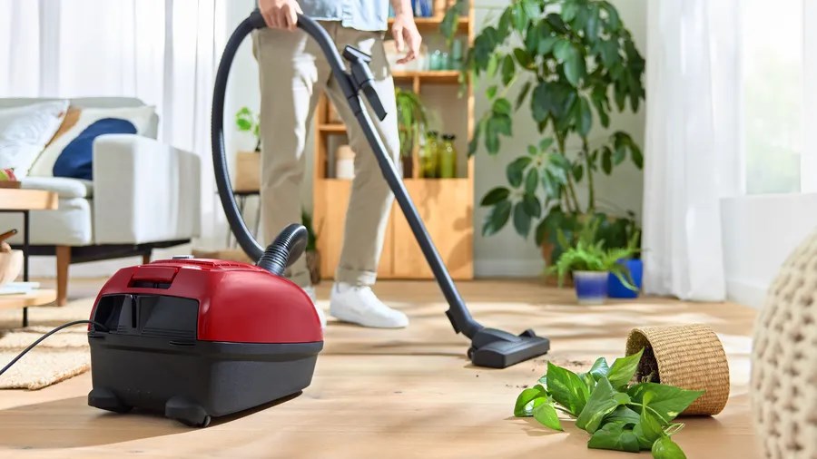 Bosch Serie 4 BGB38RD2 vacuum 4 L Cylinder vacuum Dry 600 W Dust bag Bosch Serie 4 BGB38RD2 vacuum 4 L Cylinder vacuum Dry 600 W Dust bag