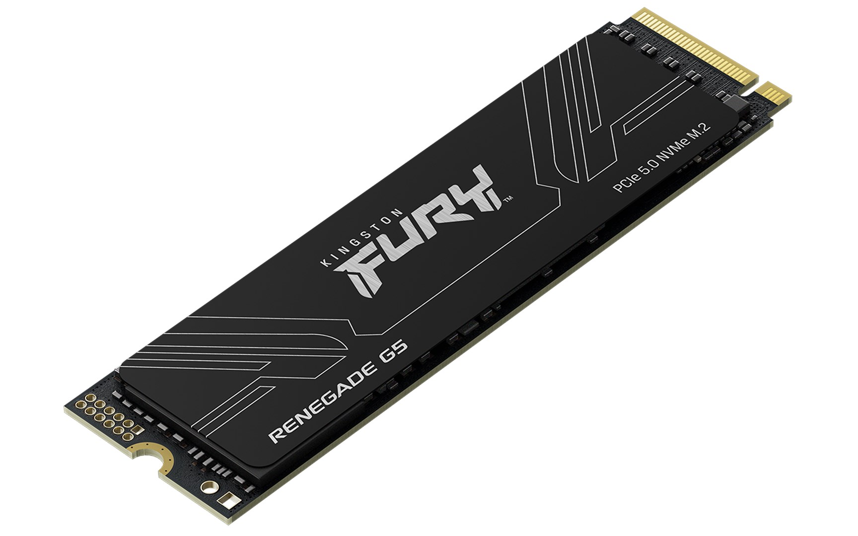 Kingston Technology 1T FURY RENEGADE G5 M.2 2280 NVMe SSD Kingston Technology 1T FURY RENEGADE G5 M.2 2280 NVMe SSD