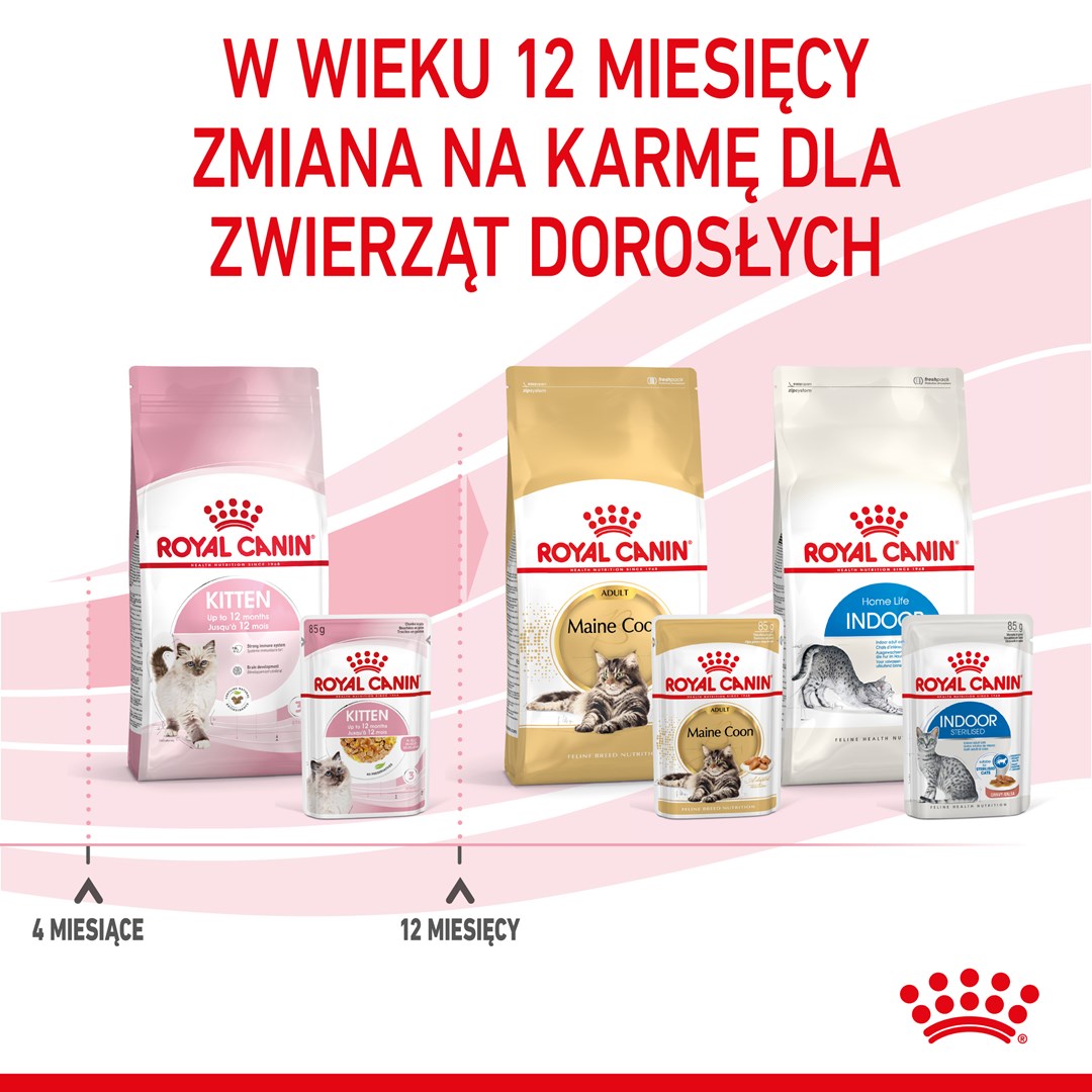 Royal Canin FHN Kitten Instinctive in jelly - wet food for kittens - 12x85g Royal Canin FHN Kitten Instinctive in jelly - wet food for kittens - 12x85g