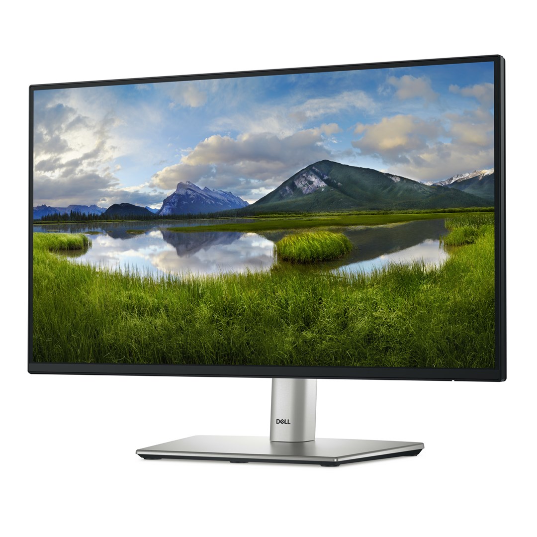 DELL P Series P2225H computer monitor 54.6 cm (21.5") 1920 x 1080 pixels Full HD LCD Black, Silver DELL P Series P2225H computer monitor 54.6 cm (21.5") 1920 x 1080 pixels Full HD LCD Black, Silver