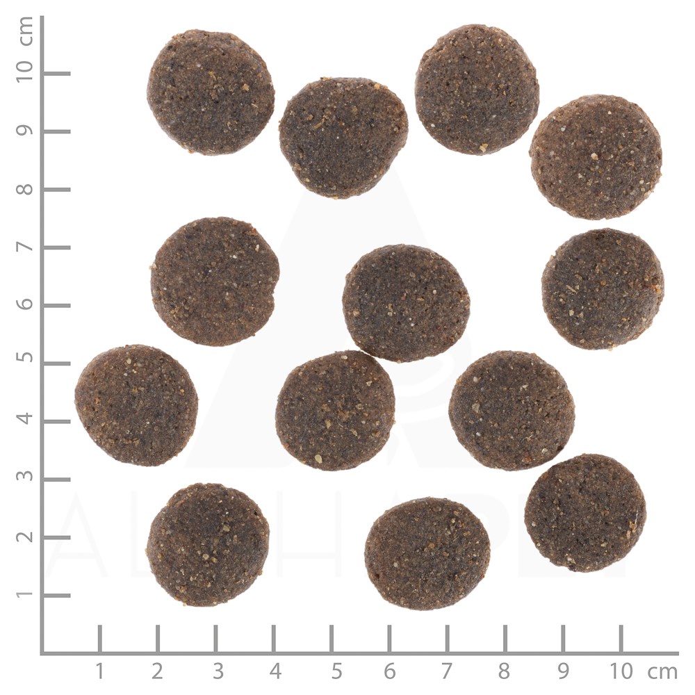 WOLFSBLUT Range Lamb Lamb with rice - dry dog food - 12,5kg WOLFSBLUT Range Lamb Lamb with rice - dry dog food - 12,5kg