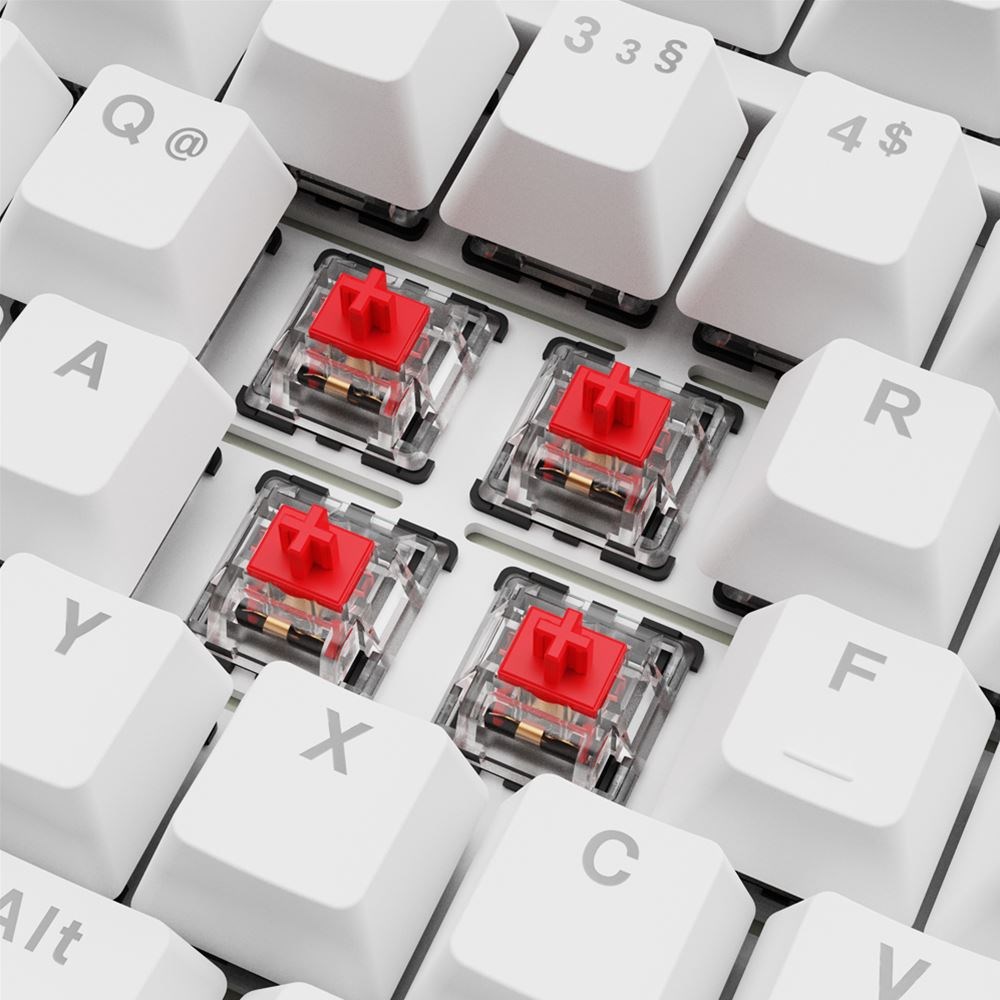 Sharkoon SGK25 keyboard Home USB QWERTZ German White Sharkoon SGK25 keyboard Home USB QWERTZ German White