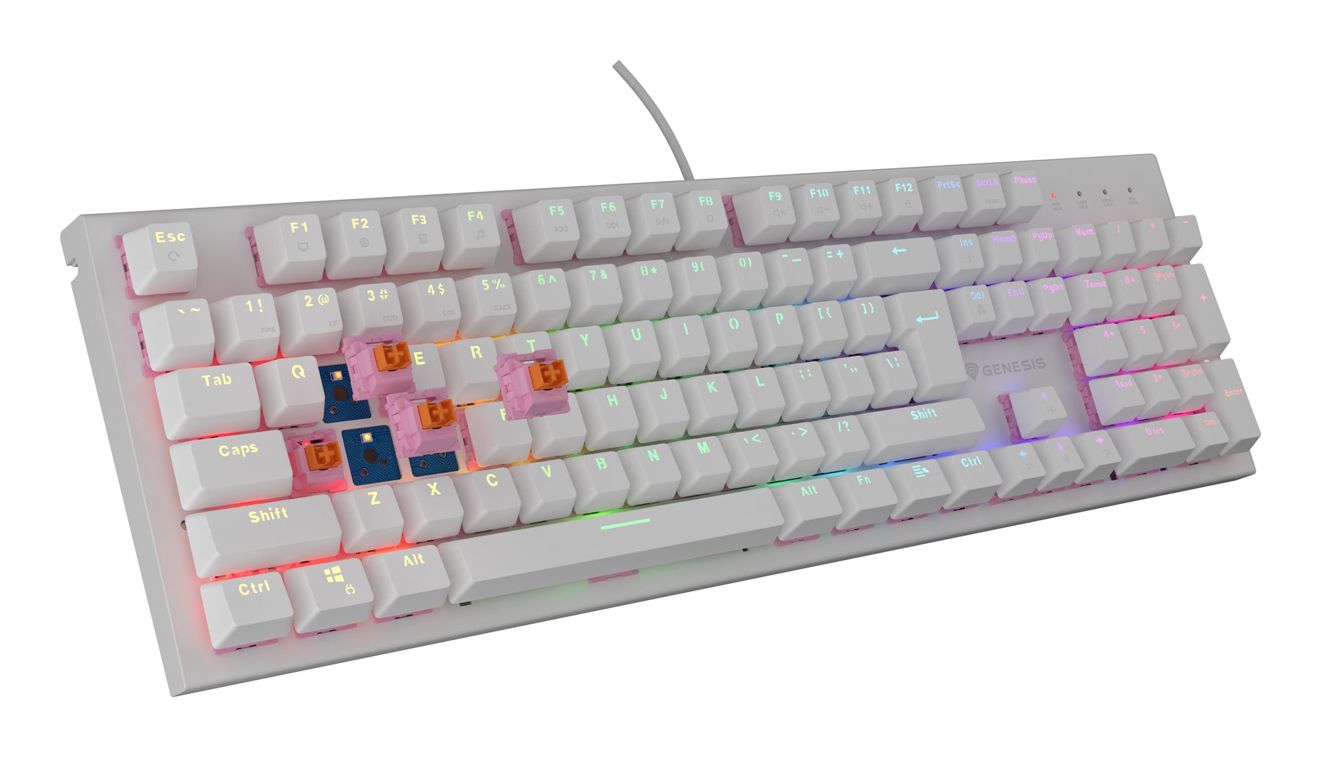 GENESIS Thor 303 keyboard Gaming USB QWERTY US English White GENESIS Thor 303 keyboard Gaming USB QWERTY US English White