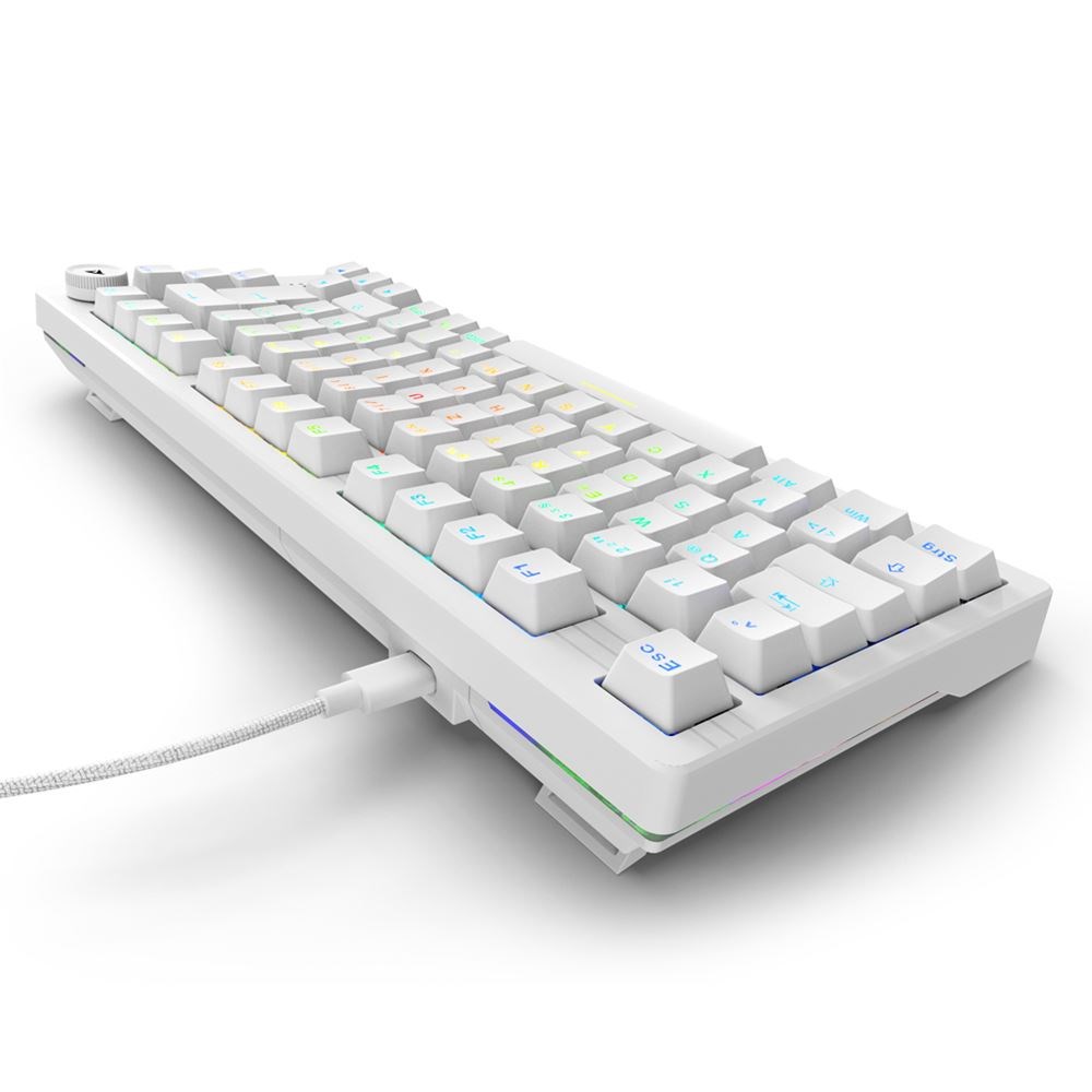 Sharkoon SGK25 keyboard Home USB QWERTZ German White Sharkoon SGK25 keyboard Home USB QWERTZ German White