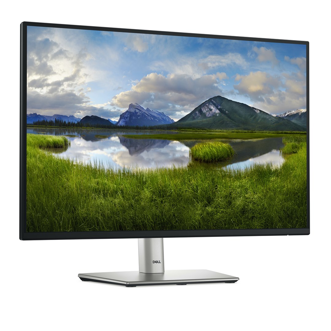 DELL P Series P2425E computer monitor 61.1 cm (24.1") 1920 x 1200 px WUXGA LCD, black DELL P Series P2425E computer monitor 61.1 cm (24.1") 1920 x 1200 px WUXGA LCD, black