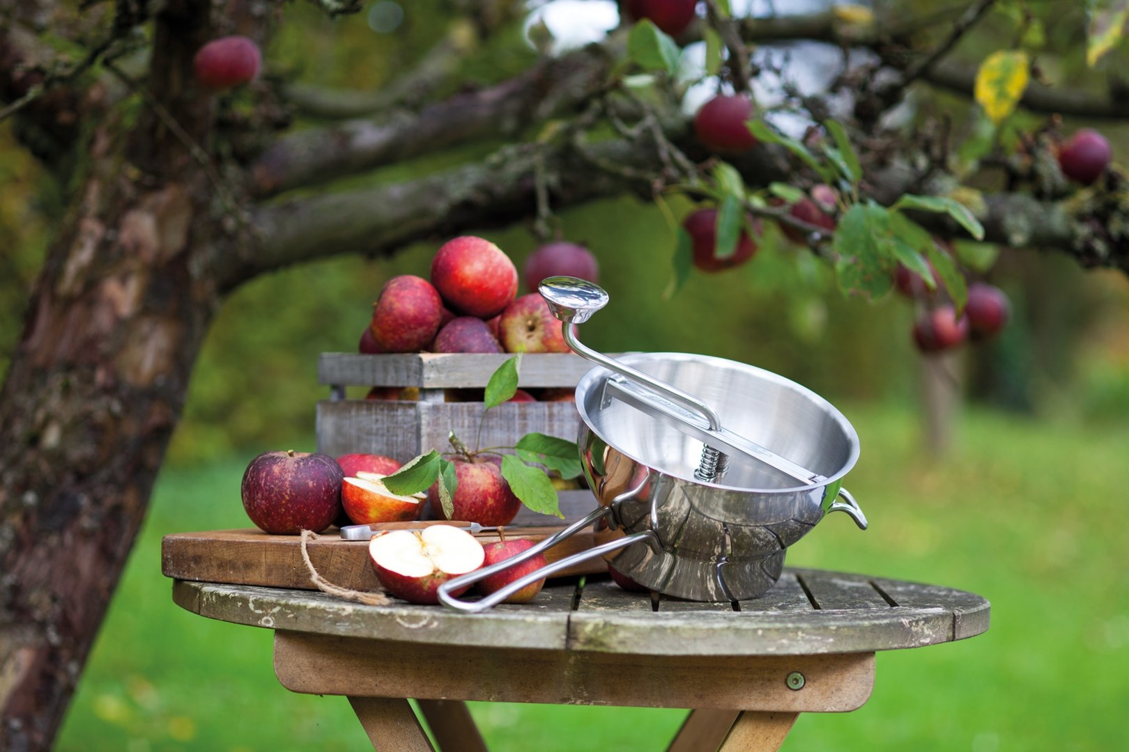 GEFU FLOTTE LOTTE food mill Fruits, Vegetables GEFU FLOTTE LOTTE food mill Fruits, Vegetables