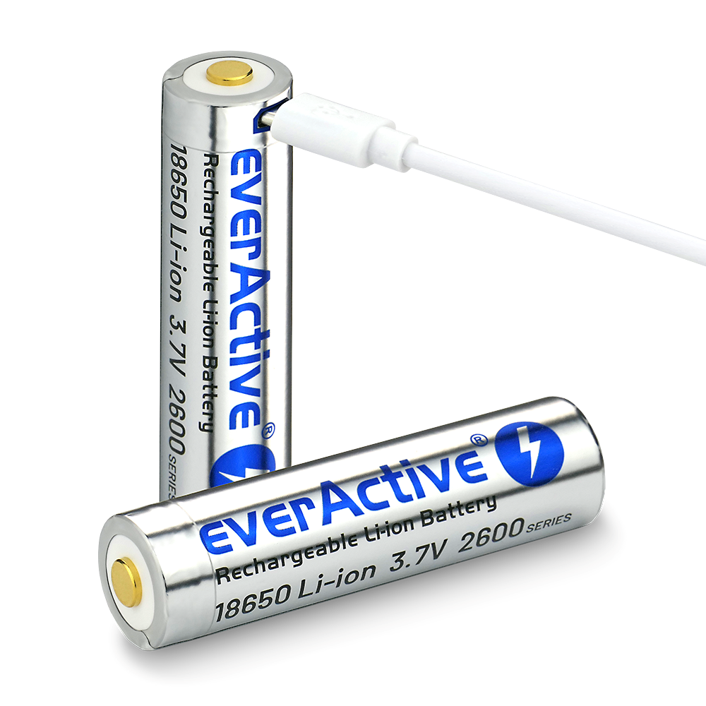 Battery everActive 18650 3.7V Li-ion 2600mAh micro USB with protection BOX Battery everActive 18650 3.7V Li-ion 2600mAh micro USB with protection BOX