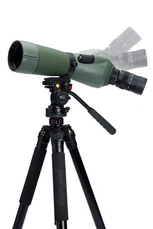 Celestron Regal M2 65ED spotting scope 48x BaK-4 Black, Green Celestron Regal M2 65ED spotting scope 48x BaK-4 Black, Green