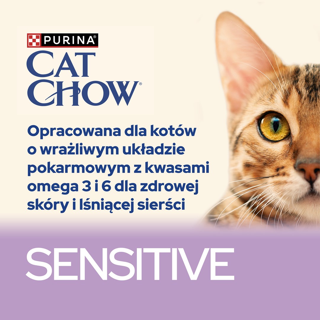 Purina Cat Chow Sensitive Gig with salmon and zucchini in sauce - Wet food for cats - 85 g Purina Cat Chow Sensitive Gig with salmon and zucchini in sauce - Wet food for cats - 85 g