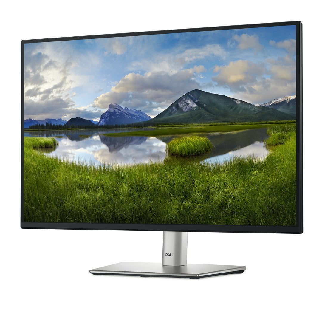 DELL P Series P2425E computer monitor 61.1 cm (24.1") 1920 x 1200 px WUXGA LCD, black DELL P Series P2425E computer monitor 61.1 cm (24.1") 1920 x 1200 px WUXGA LCD, black