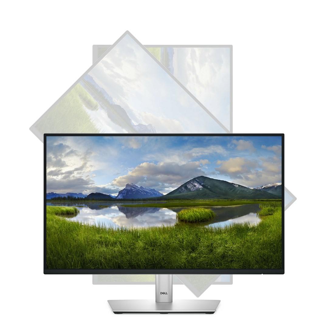 DELL P Series P2225H computer monitor 54.6 cm (21.5") 1920 x 1080 pixels Full HD LCD Black, Silver DELL P Series P2225H computer monitor 54.6 cm (21.5") 1920 x 1080 pixels Full HD LCD Black, Silver