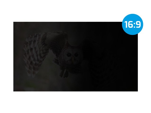 NATEC PRIVATIZING FILTER OWL 27" 16:9 NATEC PRIVATIZING FILTER OWL 27" 16:9