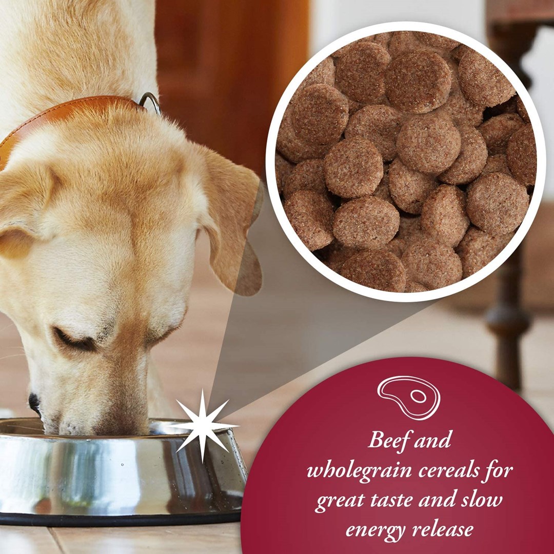 ARKWRIGHT Complete Beef - dry dog food - 15kg ARKWRIGHT Complete Beef - dry dog food - 15kg