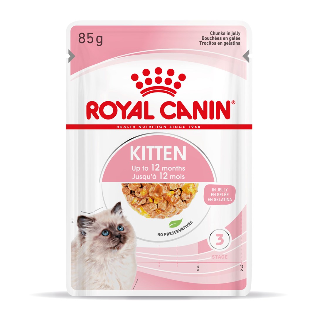 Royal Canin FHN Kitten Instinctive in jelly - wet food for kittens - 12x85g Royal Canin FHN Kitten Instinctive in jelly - wet food for kittens - 12x85g