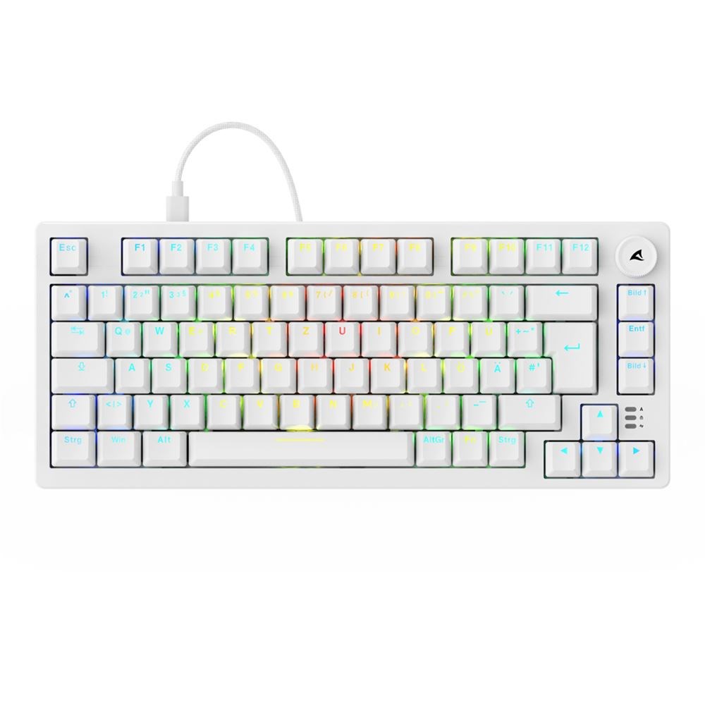 Sharkoon SGK25 keyboard Home USB QWERTZ German White Sharkoon SGK25 keyboard Home USB QWERTZ German White