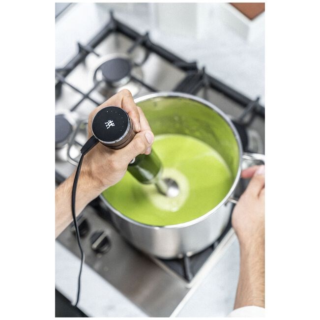 ZWILLING 53104-901-0 blender 0.6 L Immersion blender 800 W Black, Stainless steel ZWILLING 53104-901-0 blender 0.6 L Immersion blender 800 W Black, Stainless steel