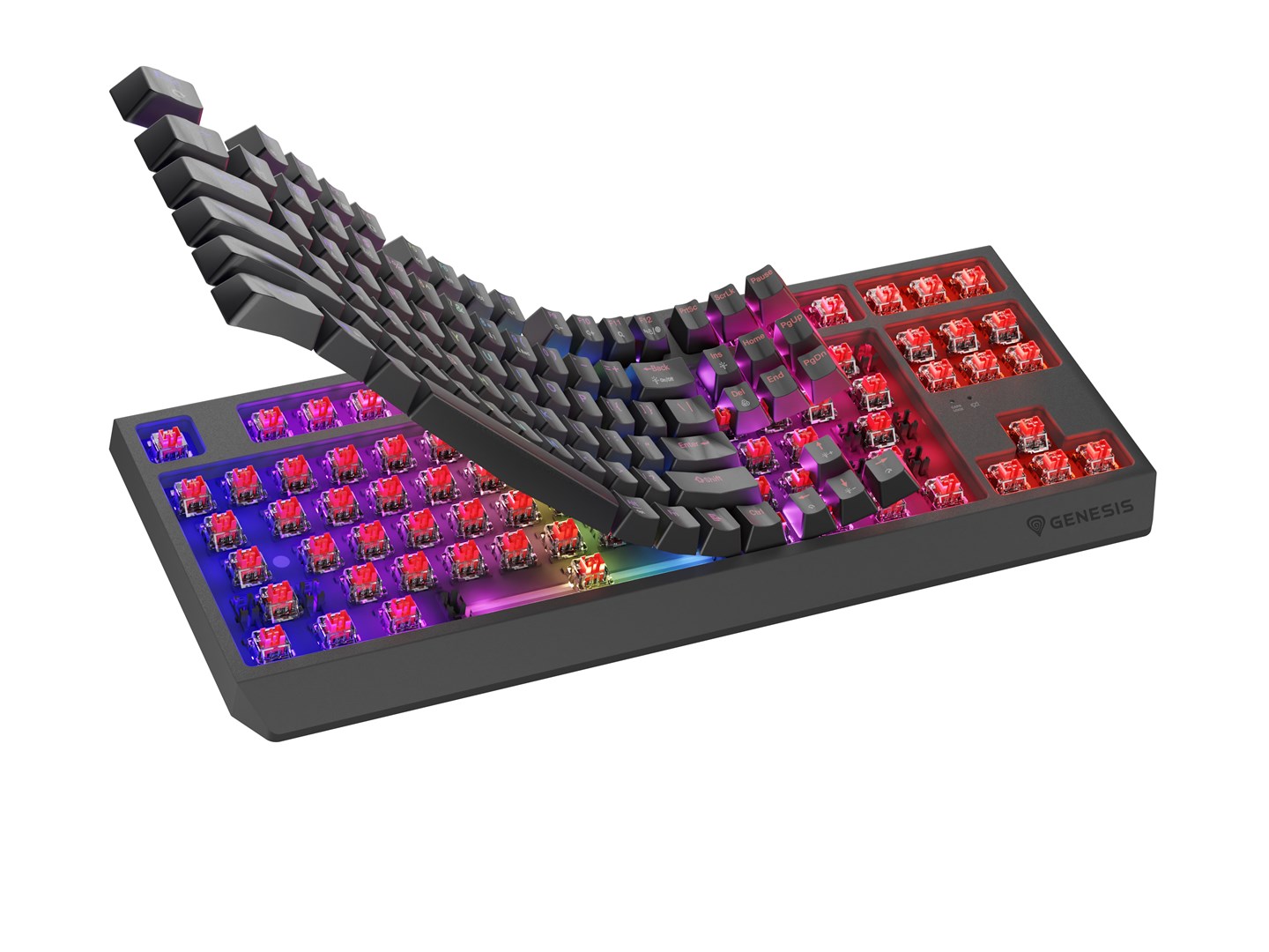 GENESIS Thor 230 TKL keyboard Gaming USB + RF Wireless + Bluetooth QWERTY Black GENESIS Thor 230 TKL keyboard Gaming USB + RF Wireless + Bluetooth QWERTY Black