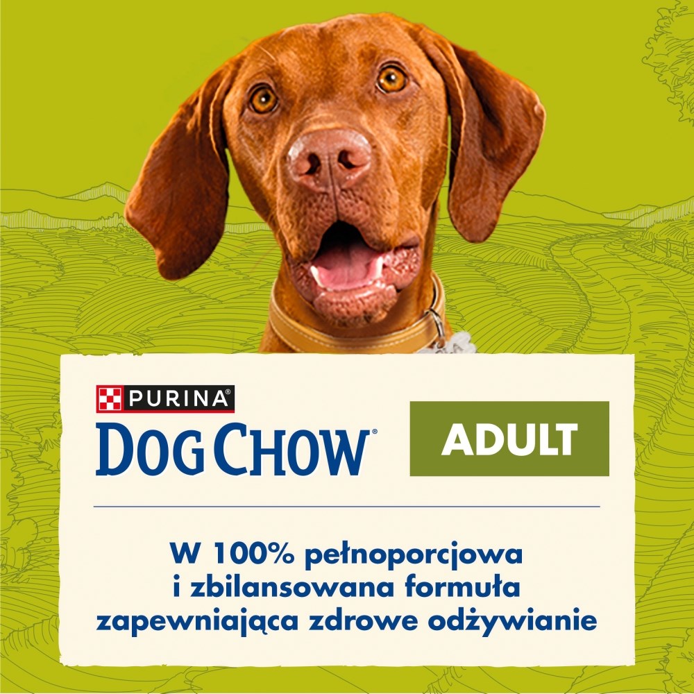 PURINA Dog Chow Adult Lamb - dry dog food - 14 + 2,5kg PURINA Dog Chow Adult Lamb - dry dog food - 14 + 2,5kg