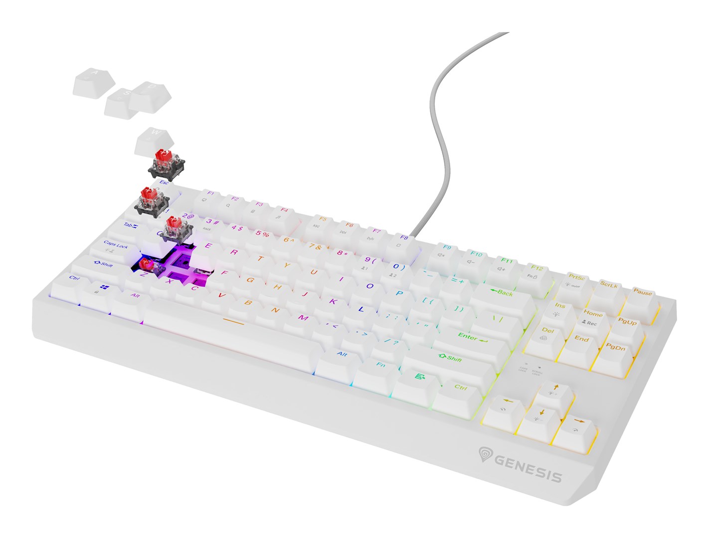GENESIS Thor 230 TKL keyboard Gaming USB GENESIS Thor 230 TKL keyboard Gaming USB