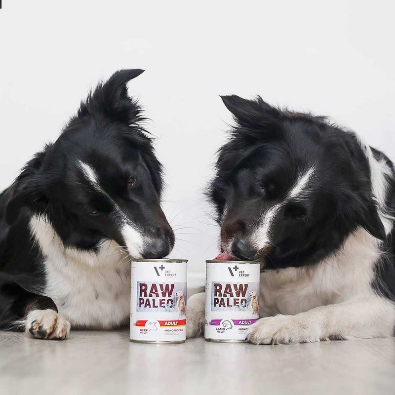 RAW PALEO Adult Monoprotein Beef - wet dog food - 400 g RAW PALEO Adult Monoprotein Beef - wet dog food - 400 g
