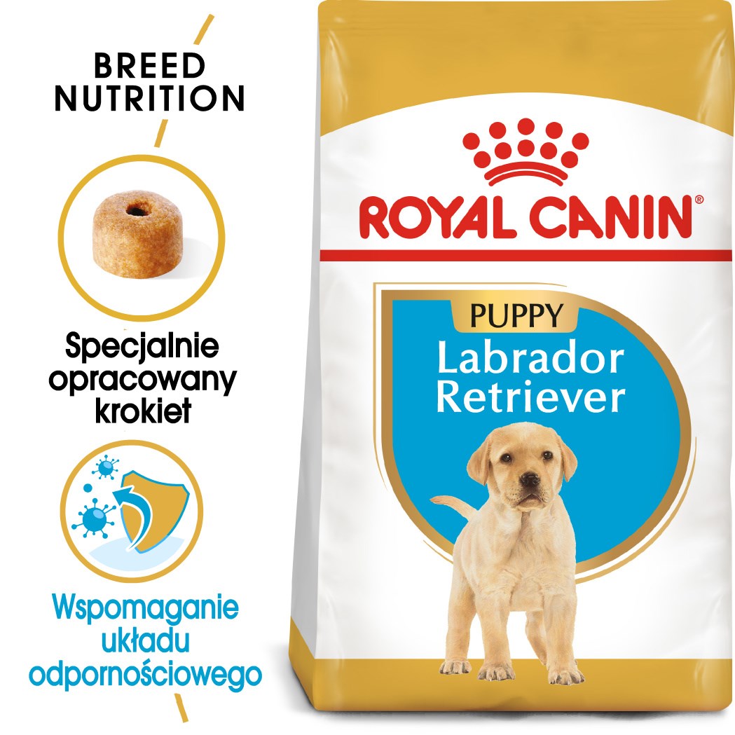 ROYAL CANIN SHN Breed Labrador Junior dry dog food - 12 kg ROYAL CANIN SHN Breed Labrador Junior dry dog food - 12 kg