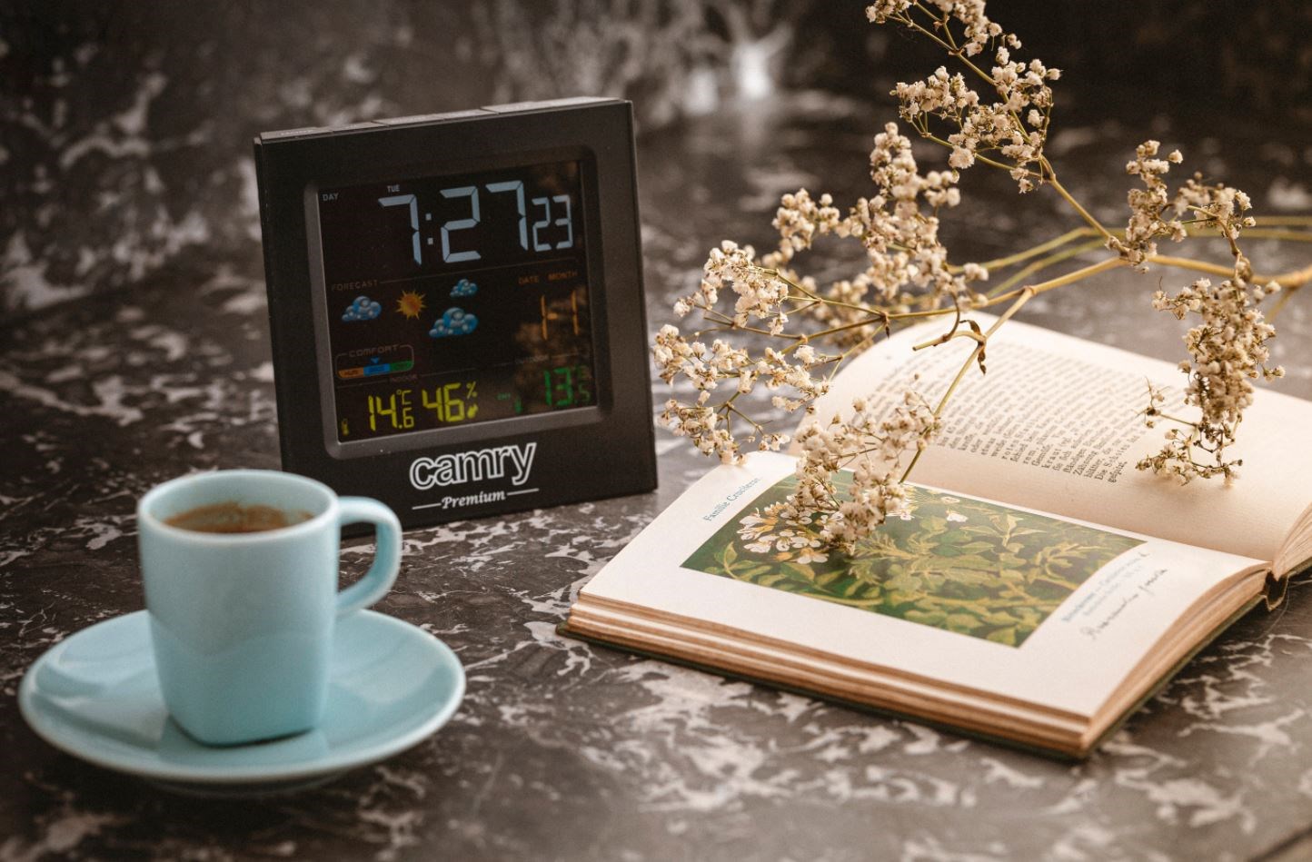 Camry CR 1166 Weather station Camry CR 1166 Weather station
