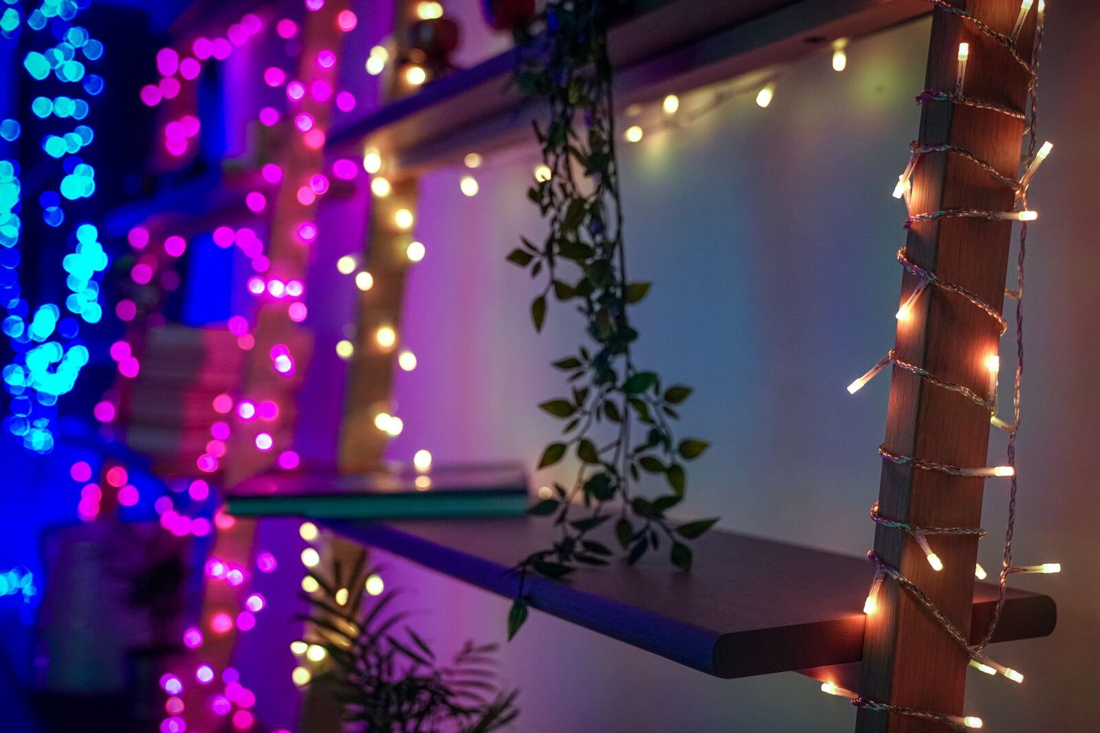 INTELLIGENT LED ICICLES TWINKLY 190 RGB 5X0.7M INTELLIGENT LED ICICLES TWINKLY 190 RGB 5X0.7M
