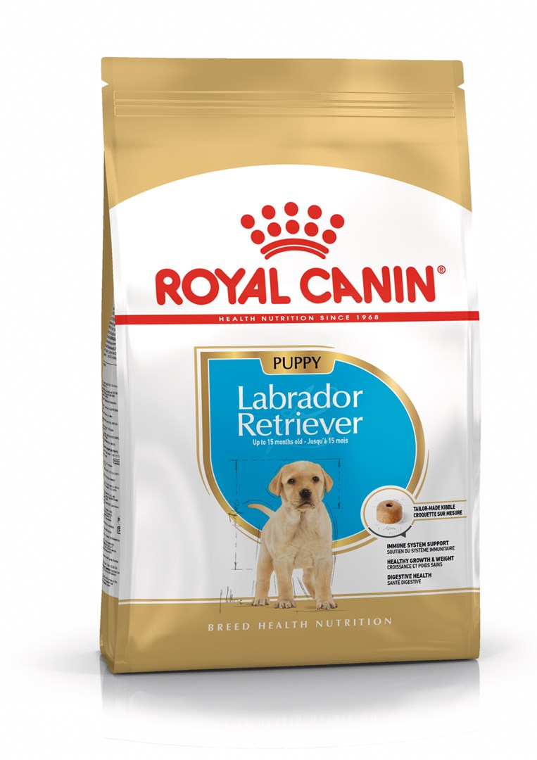ROYAL CANIN SHN Breed Labrador Junior dry dog food - 12 kg ROYAL CANIN SHN Breed Labrador Junior dry dog food - 12 kg