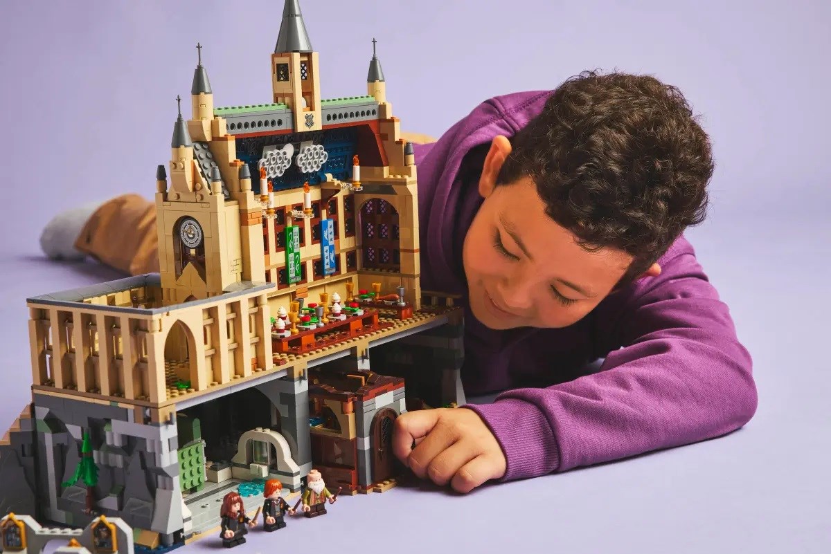 LEGO HARRY POTTER 76442 Hogwarts Castle - Charms Class LEGO HARRY POTTER 76442 Hogwarts Castle - Charms Class