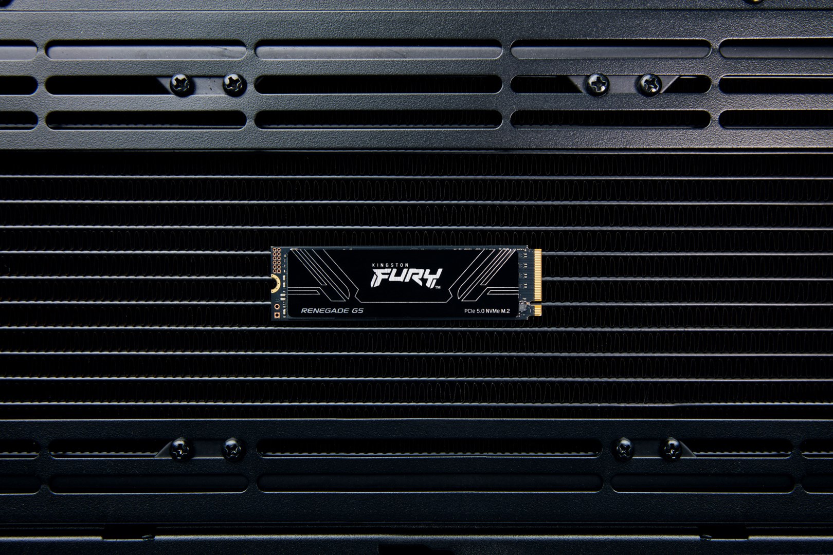 Kingston Technology 1T FURY RENEGADE G5 M.2 2280 NVMe SSD Kingston Technology 1T FURY RENEGADE G5 M.2 2280 NVMe SSD