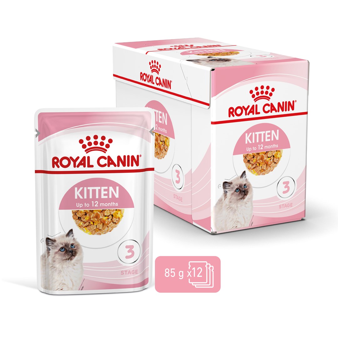 Royal Canin FHN Kitten Instinctive in jelly - wet food for kittens - 12x85g Royal Canin FHN Kitten Instinctive in jelly - wet food for kittens - 12x85g