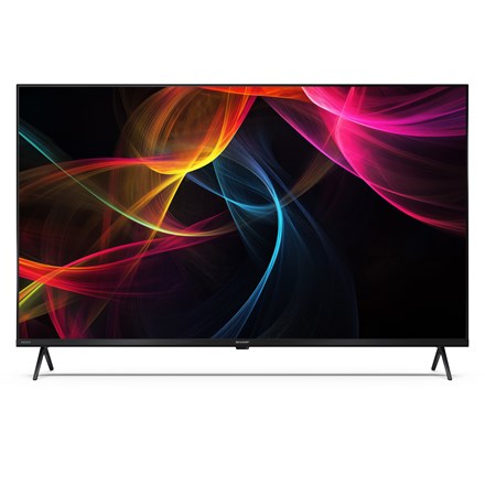 фото Телевізор Sharp 43HL4265E 1